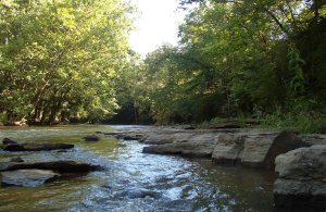 Olentangy River