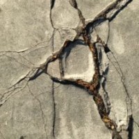 Input Still Needed: Sidewalk Repair & Replacement